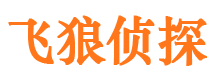 宁阳外遇调查取证